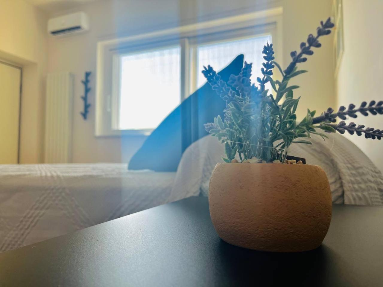 Vedi Napoli E Vivi Apartment Torre del Greco Kültér fotó